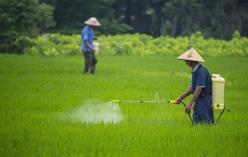 除草劑商標轉讓的類別怎么選擇？