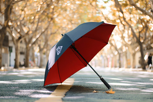 雨傘商標交易所在類別應選擇第幾類？