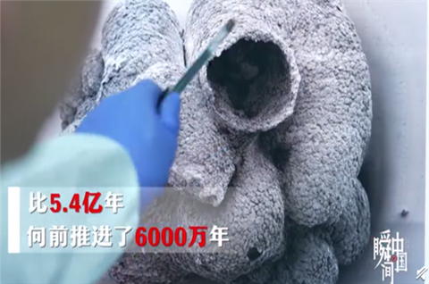 貴州發(fā)現(xiàn)6億歲海綿寶寶，海綿寶寶商標(biāo)注冊(cè)已達(dá)138件！