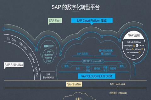 谷歌云試圖搶占 SAP 軟件云市場，軟件商標注冊需要注冊幾類？