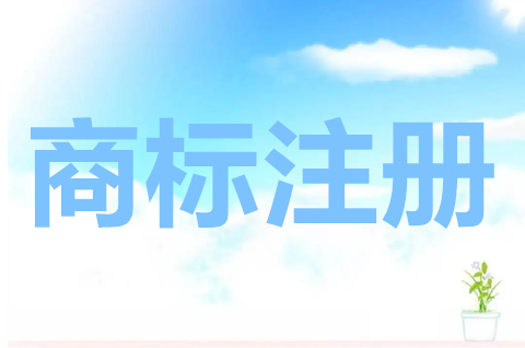 商標(biāo)注冊(cè)申請(qǐng)查詢?cè)趺床椋可虡?biāo)注冊(cè)申請(qǐng)實(shí)行什么原則？