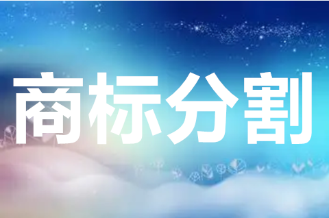 商標駁回分割申請怎么提交？商標分割申請有哪些類型？