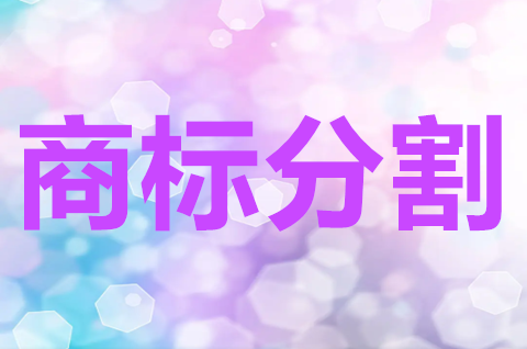商標注冊申請分割申請是什么意思？商標分割申請怎么操作？