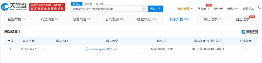 SEXYTEA商標曾因格調不高被駁回，商標被駁回的原因有哪些？