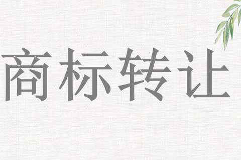 商標(biāo)轉(zhuǎn)讓需要什么材料？商標(biāo)轉(zhuǎn)讓和商標(biāo)授權(quán)一樣嗎？