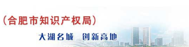 安徽合肥：構筑知識產權“嚴大快同”保護體系