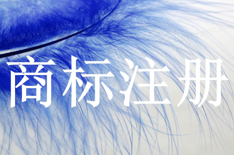 商標注冊風險可以完全規(guī)避嗎？商標注冊風險有哪些？