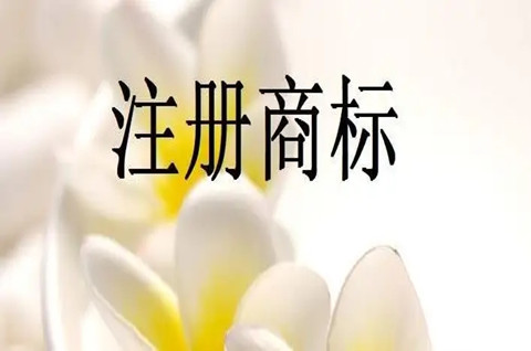 百色市累計有效商標注冊9872件！