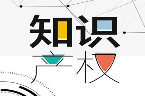 完善商標品牌制度體系建設，加大商標品牌培育注冊力度！