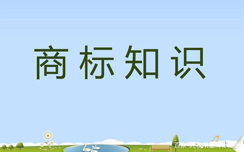 商標交易平臺怎么選擇更加靠譜呢？