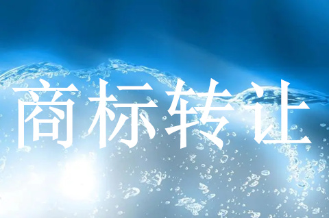 商標轉讓價格會隨使用年限變化而變化嗎？