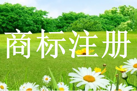 商標(biāo)注冊(cè)后的七大關(guān)鍵維護(hù)步驟，缺一不可！