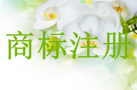 logo商標注冊需要注意哪些事項
