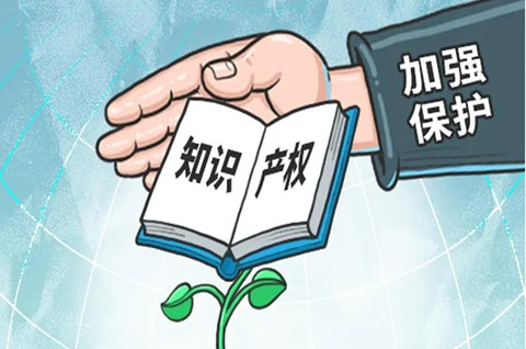 国知局：十年来累计减免专利、商标收费1262.8亿元