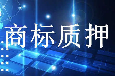 前10月深圳市专利及商标质押登记448.26亿元