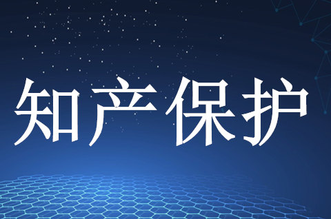 《杭州市知识产权保护和促进条例》出台