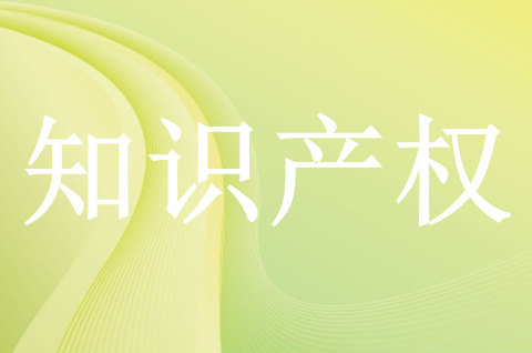 河北印发2025年全省知识产权行政保护实施方案