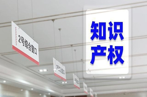 浙江建立知识产权服务专员和特派员机制
