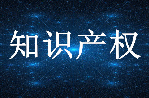 贵州数据知识产权服务机构座谈会在贵阳召开