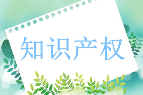 福建省2025年知识产权运用促进管理人员培训班在厦门举办