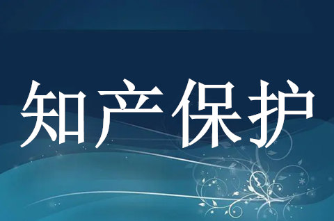 南京都市圈知识产权保护联盟2025年度工作会议在安徽马鞍山召开
