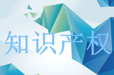 2025年陕西省知识产权信息公共服务能力提升培训班举办