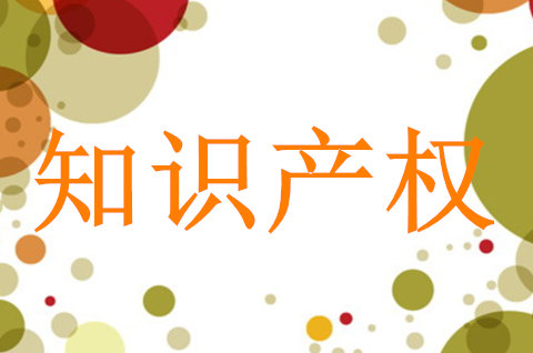 《贵州省数据知识产权登记指引》发布