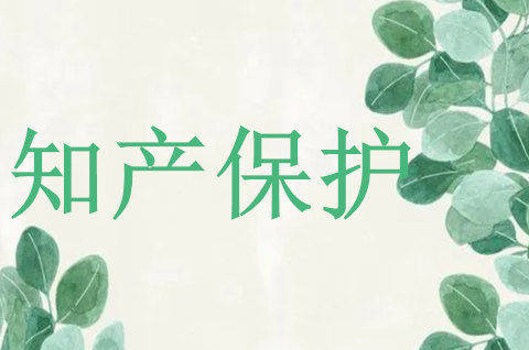 浙江加强游戏出海知识产权保护