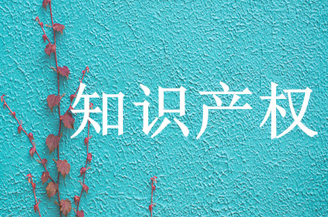 重庆知产局启动知识产权公共服务支撑重点领域关键核心技术攻关试点项目