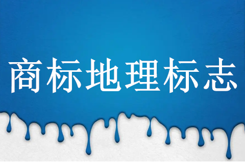 天津市知产局组织召开2025年商标地理标志资助项目推动会