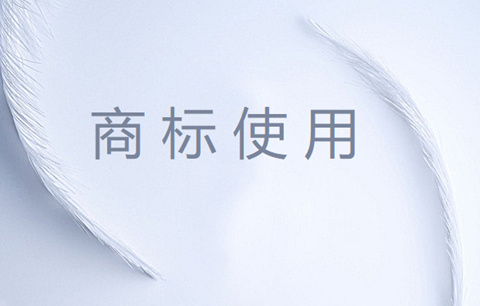 加大对商标违法违规使用的监管、治理力度